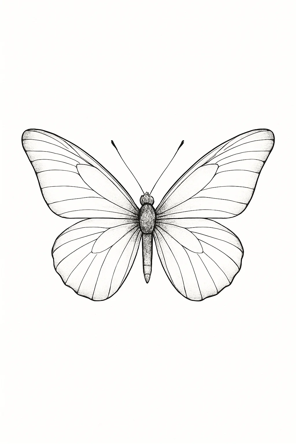 Butterfly with open wings tattoo design, black fine-line flash
